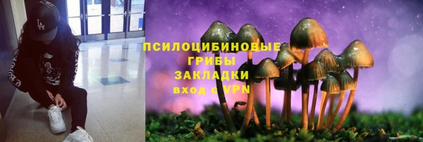 apvp Белокуриха