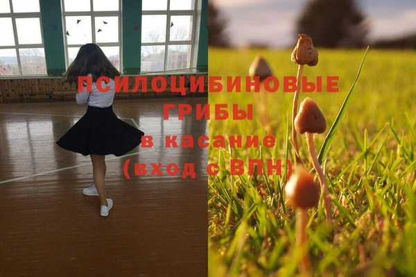apvp Белокуриха